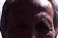 Profil de Loris